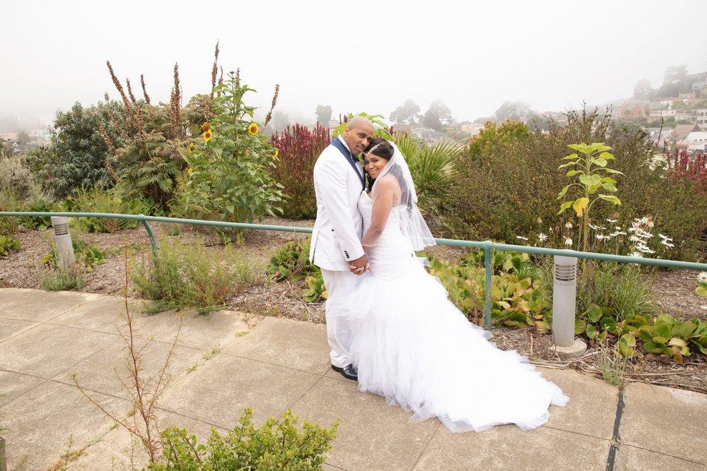 recomment-pack-image-0