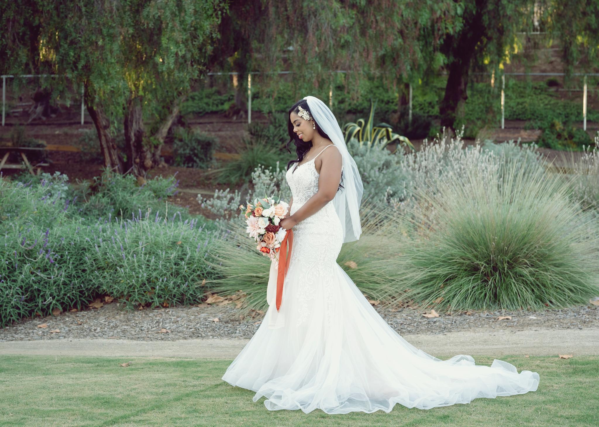 Say Yes To The Dress: Your Ultimate Guide