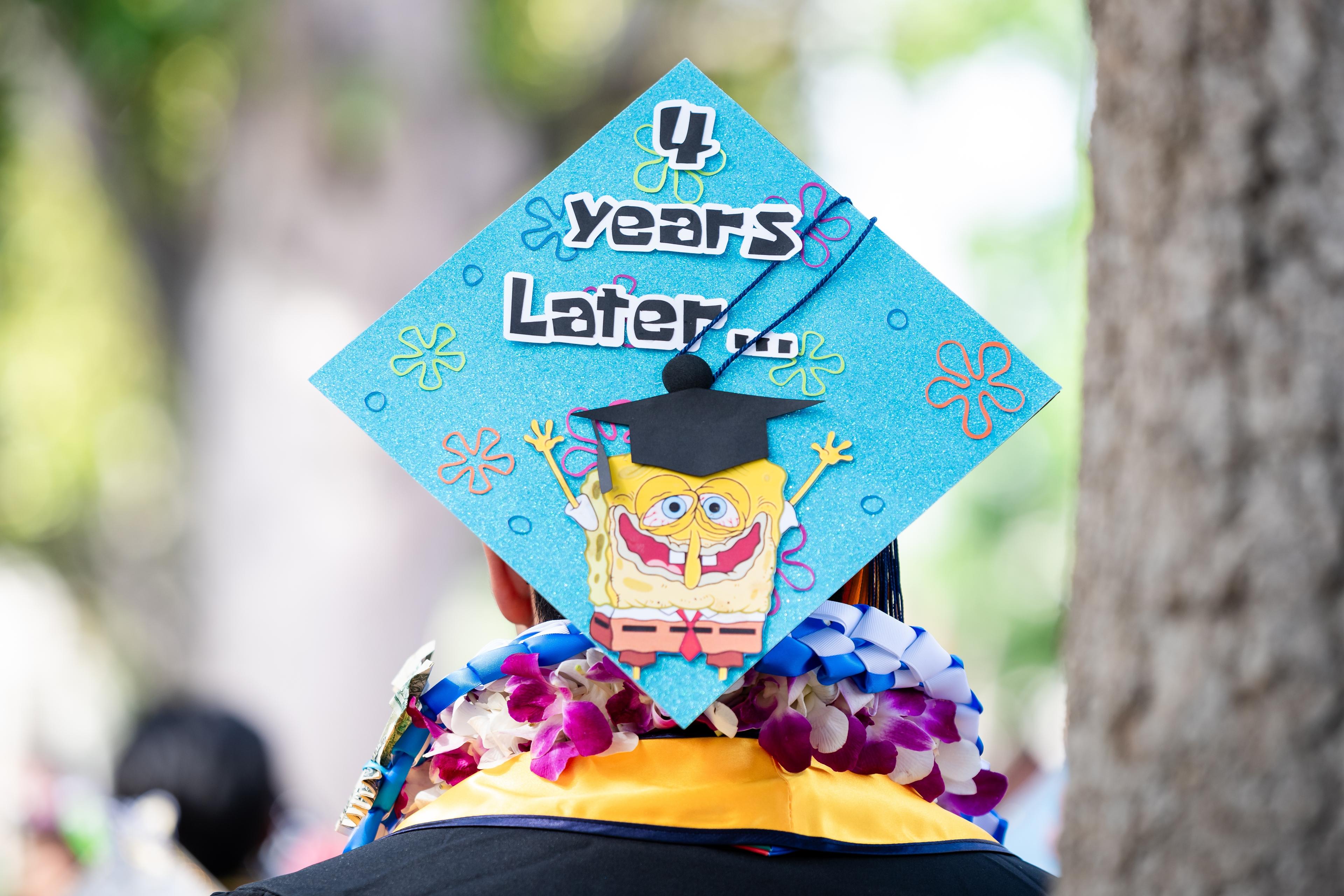 A New Chapter: The Journey Beyond School